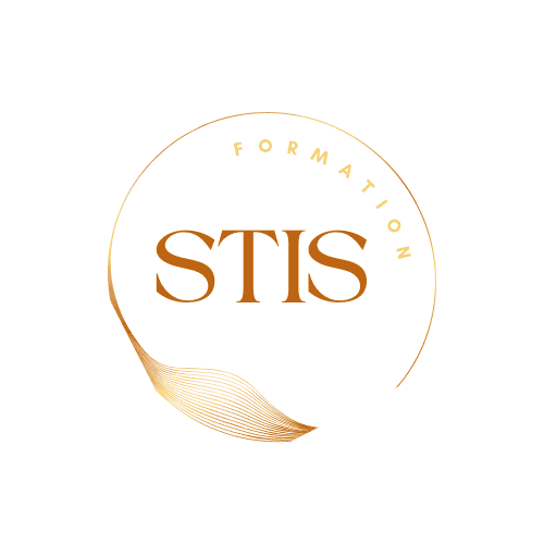 Logo Stis Ok