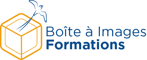 Logo Baif 3.131