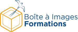 Logo Baif