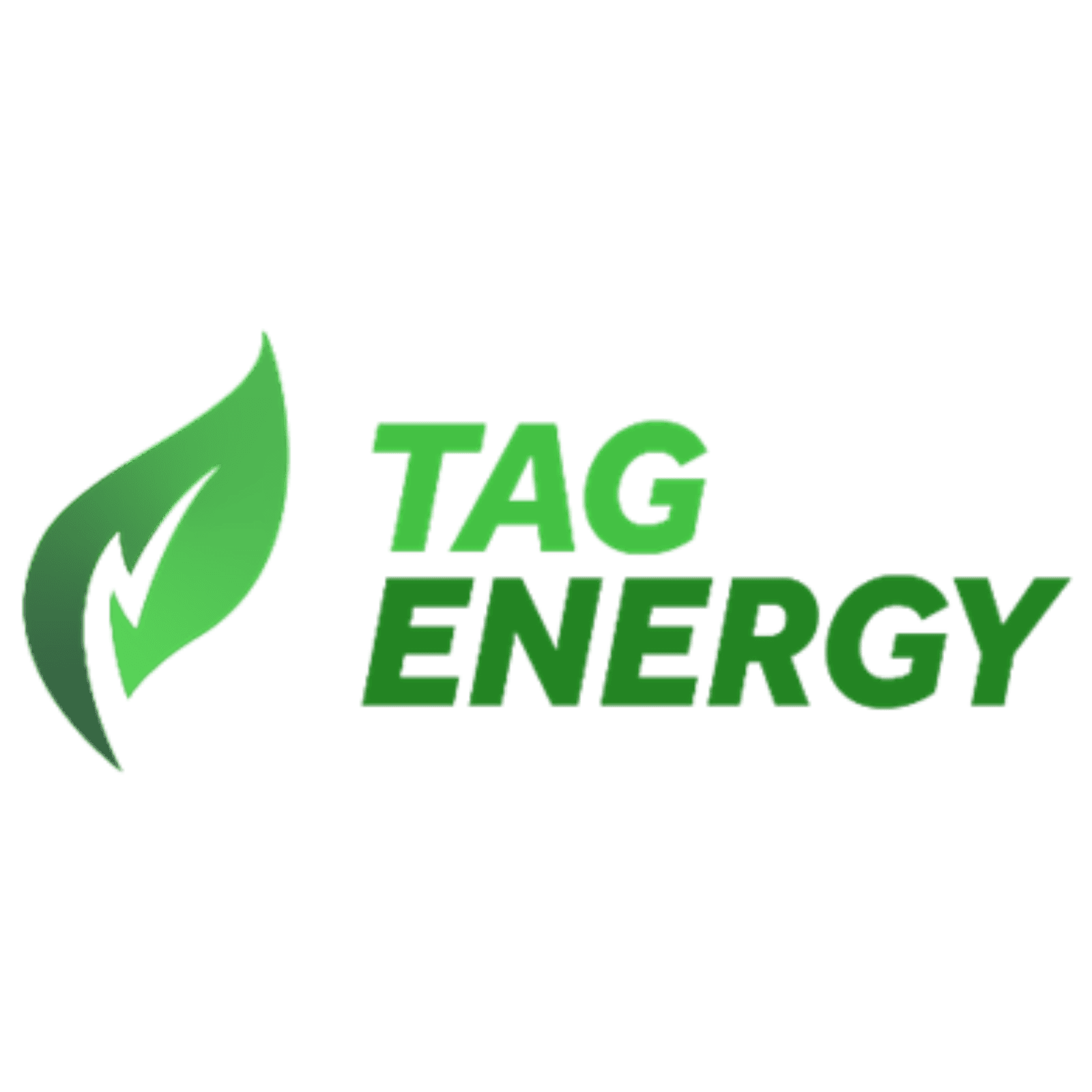 Logo Tag Energy